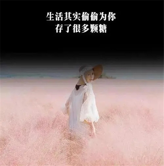 抖音点赞最火最高句子