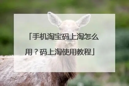 淘宝码上淘是什么意思