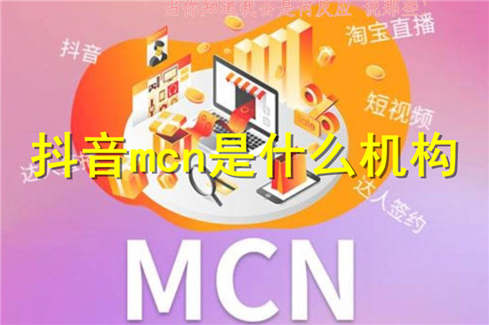 抖音上的mcn机构是干嘛的