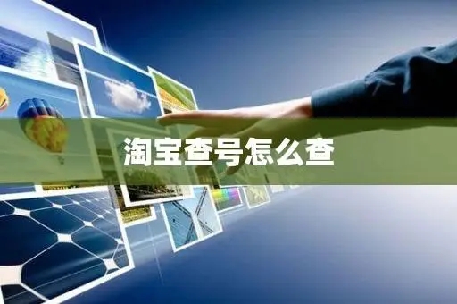 淘宝查号的方法