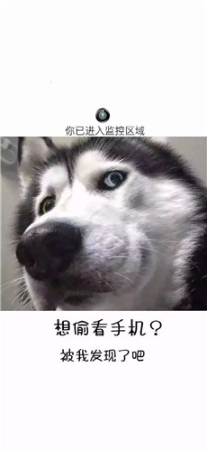 抖音最火壁纸图片