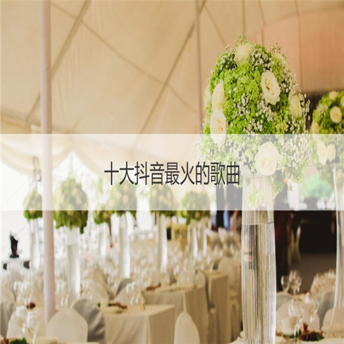 十大抖音最火的歌曲