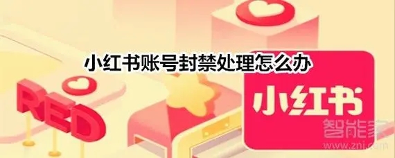 小红书禁封还能恢复吗