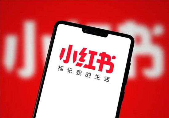 网页版小红书怎么看关注