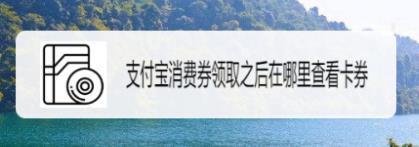 支付宝电子消费卷在哪里