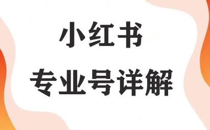 小红书专业号和店铺有什么区别