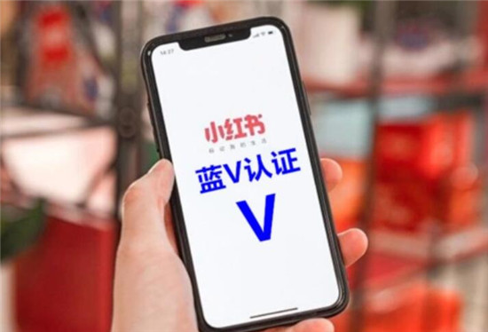 小红书蓝V认证怎么申请 