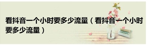 看一个小时抖音要多少流量，