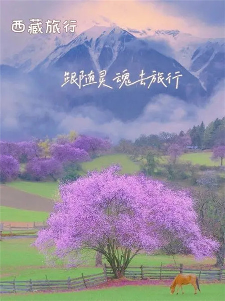 抖音文案唯美风景