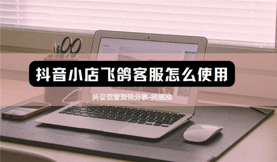 抖音小店飞鸽客服怎么使用