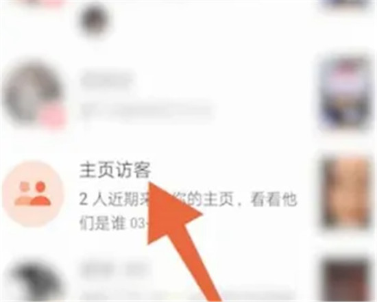 抖音的个人的主页访客在哪里