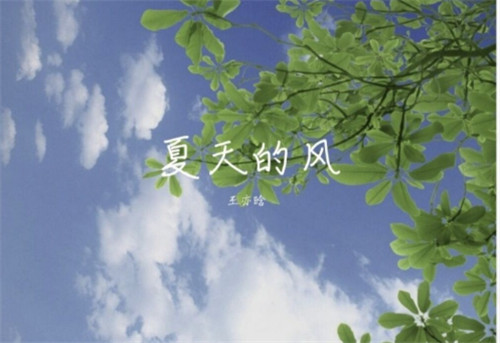 快手热门十首歌曲排行榜2023