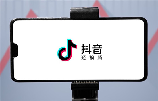 粉丝和收入的具体分析