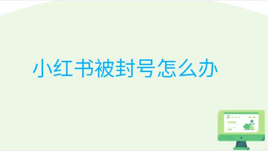 小红书被封号了怎么办
