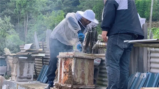 养蜂人在抖音怎么开店 手把手教你开店教程