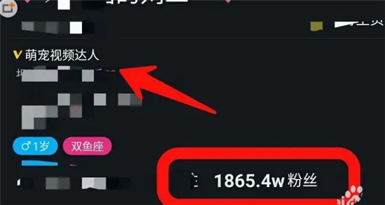 如何让抖音人气持续在线？深度解析短视频时代的内容保鲜与用户黏性构建 (如何让抖音的人看不见我)-初仟社区