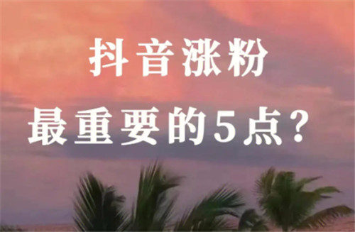 抖音涨粉的成本因素
