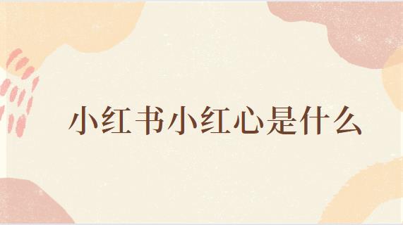 小红书小红心是什么