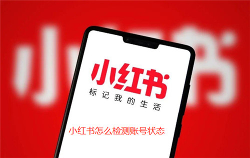 小红书怎么检测账号状态