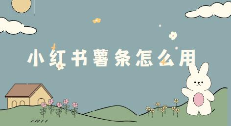 小红书薯条怎么用