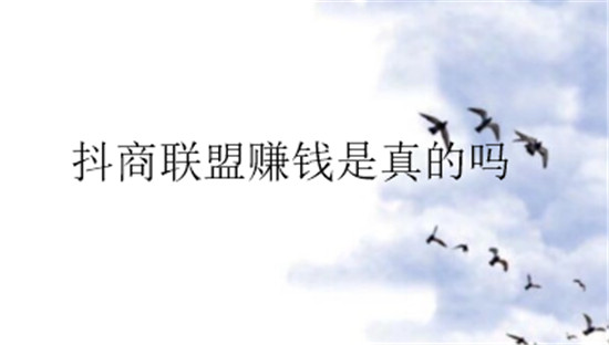 抖商联盟怎么赚钱
