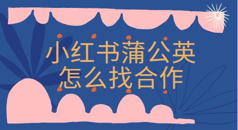 小红书蒲公英怎么找合作