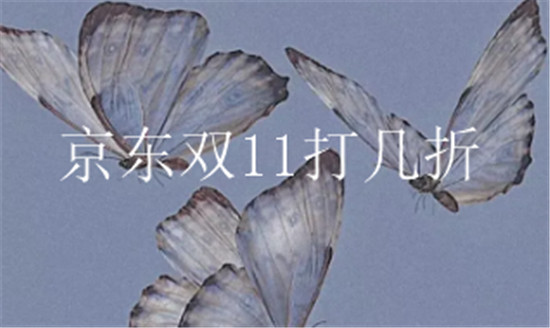京东双11打几折
