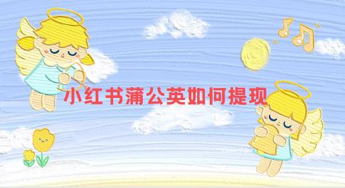 小红书蒲公英如何提现