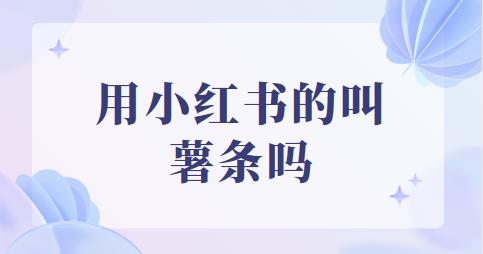 用小红书的叫薯条吗