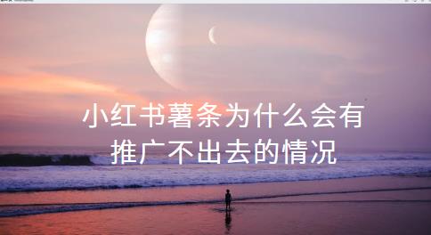 小红书薯条为什么会有推广不出去的情况