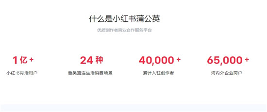 小红书蒲公英平台人设标签是什么