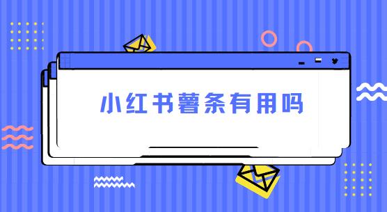 小红书薯条有用吗