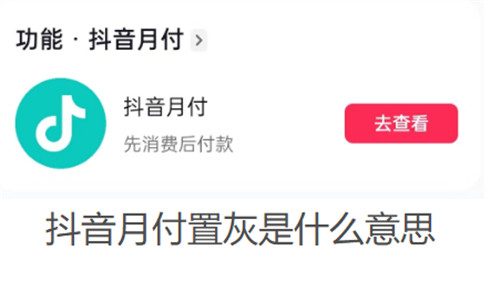 抖音月付置灰是什么意思