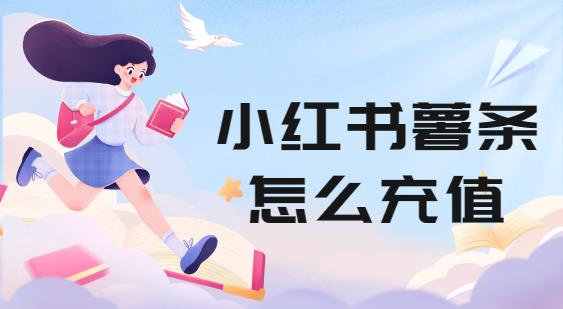 小红书薯条怎么充值
