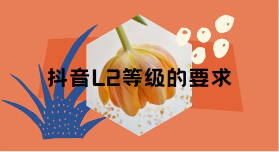 抖音L2等级的要求