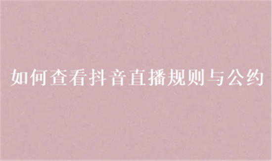 如何查看抖音直播规则与公约