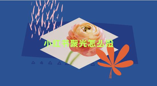 小红书聚光怎么投
