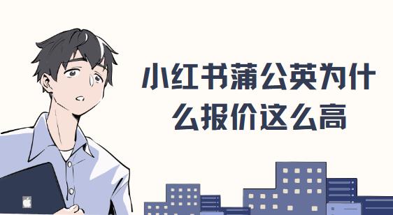 小红书蒲公英合作辅助：全方位指南与高效策略解析 (小红书蒲公英链接在哪里复制)-初仟社区