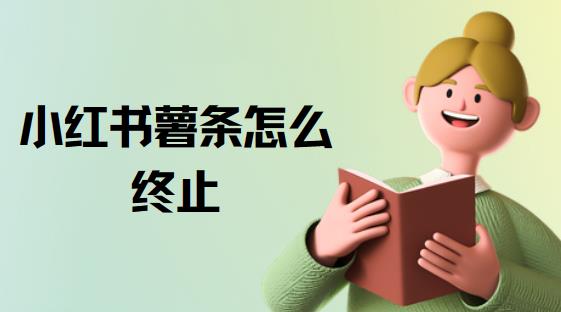 小红书薯条怎么终止