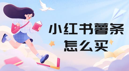 小红书薯条怎么买