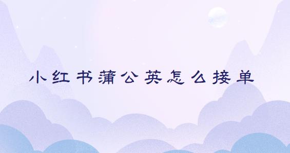 小红书蒲公英怎么接单 