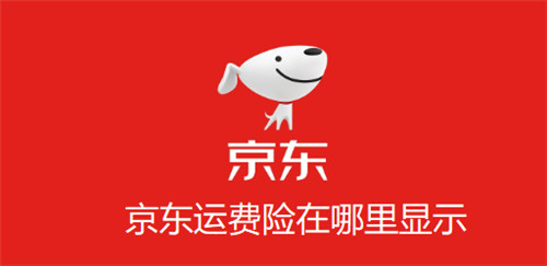 京东运费险在哪里显示
