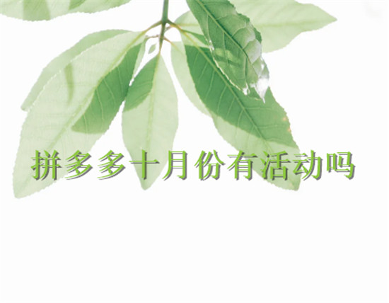 拼多多十月份有活动吗 