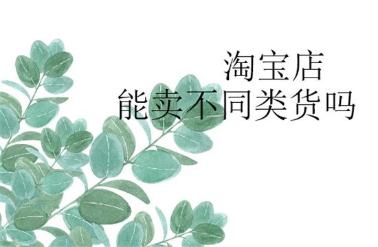 淘宝店能卖不同类货吗