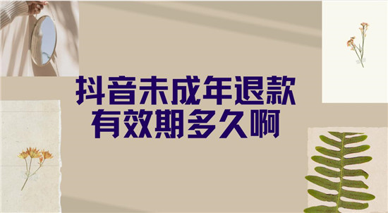 抖音未成年退款有效期多久啊