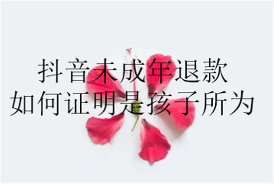 抖音未成年退款如何证明是孩子所为