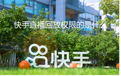 快手直播回放权限的是什么