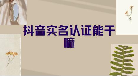 抖音实名认证能干嘛