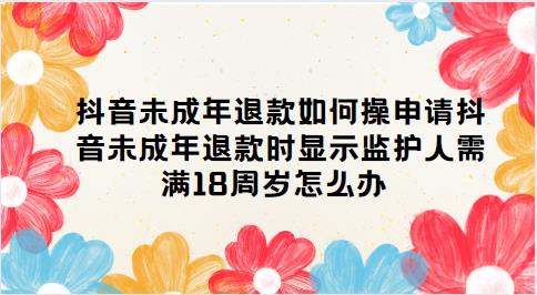 申请抖音未成年退款时显示监护人需满18周岁怎么办 