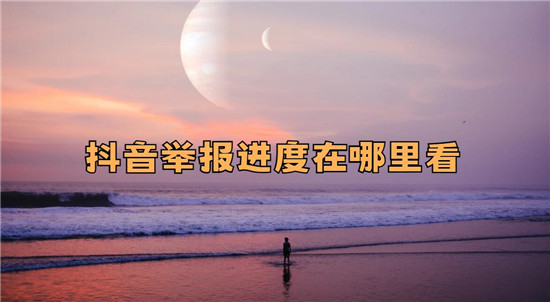 抖音举报进度在哪里看